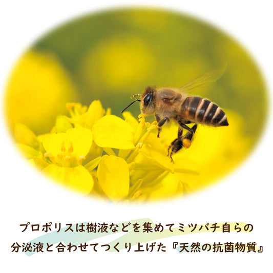 プロポリスキャンディー